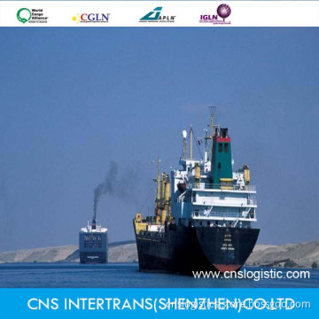 Shipping Container From Shenzhen/Ningbo/Shanghai/Tianjin to Argentina/Uruguay/Buenos Aires/Montevideo